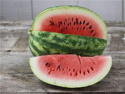 Mississippi Cobb Gem Watermelon