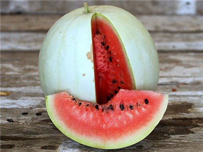 Навахо (Зимний арбуз) Navajo Winter Watermelon