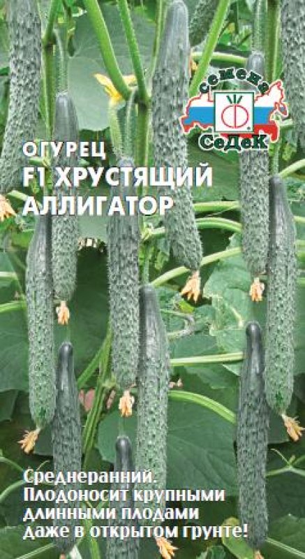 Хрустящий Аллигатор