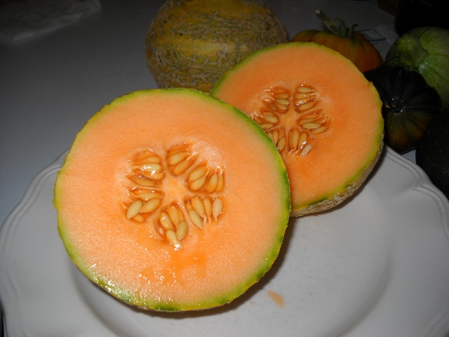 Coban Orange Flesh Melon