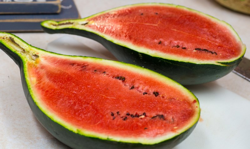 Art Combe's Ancient Watermelon