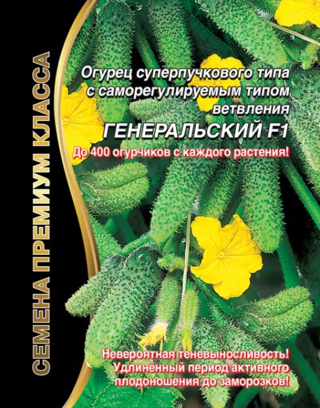 Генеральский