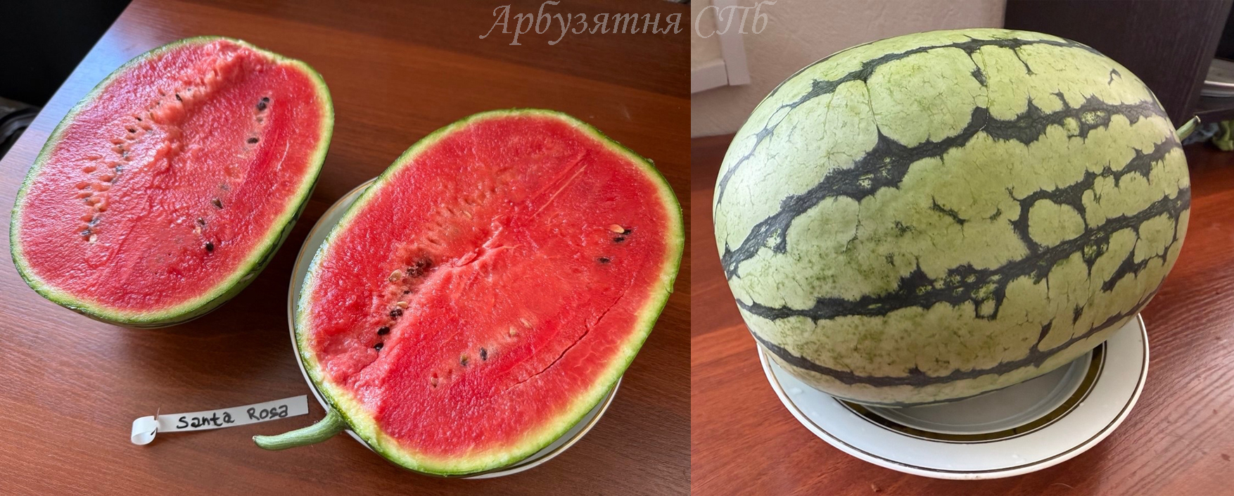 Santa Rosa (Санта Роза)