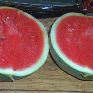 Wilson's Sweet Watermelon - 2