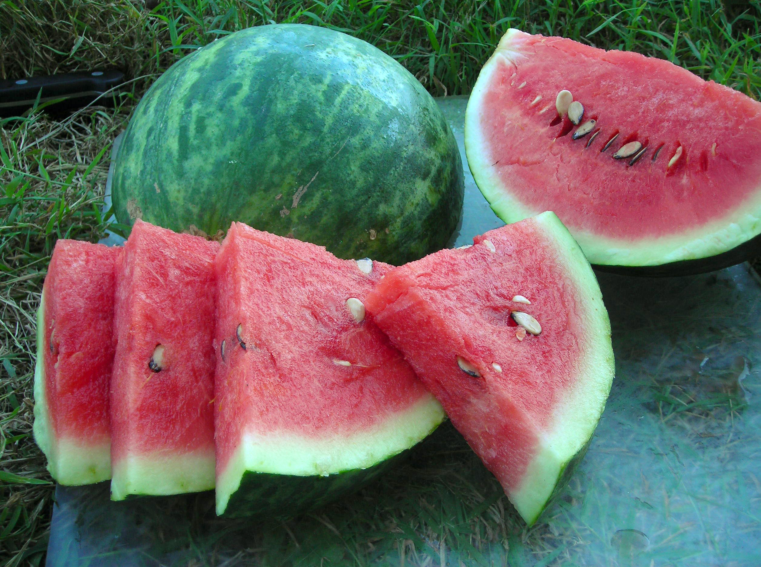 Wilson's Sweet Watermelon - 1